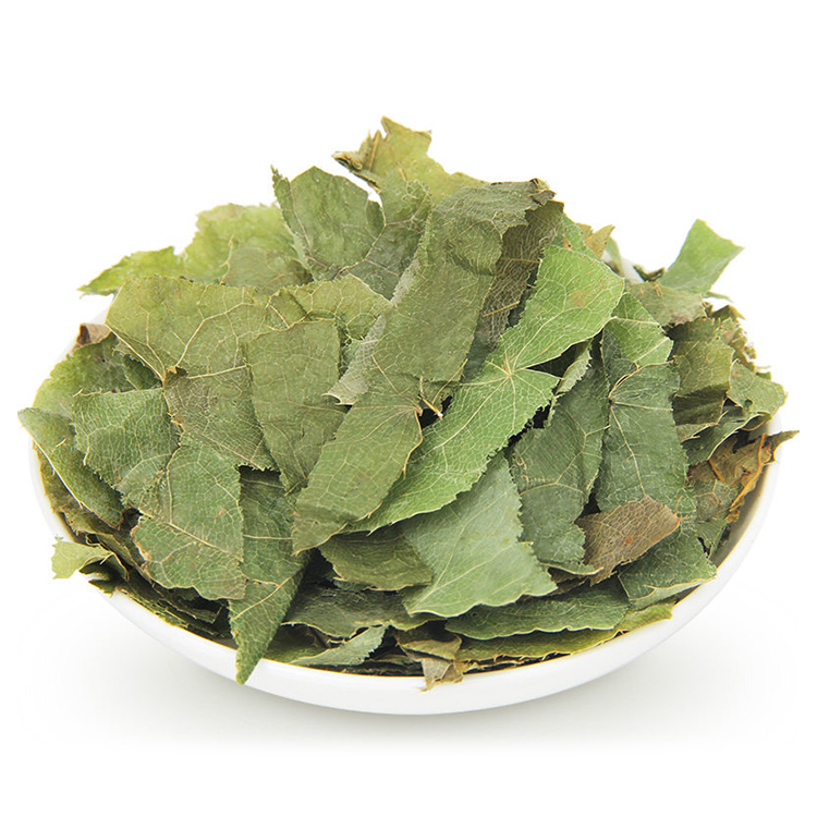 纯天然野生特级桑叶新鲜 500g
